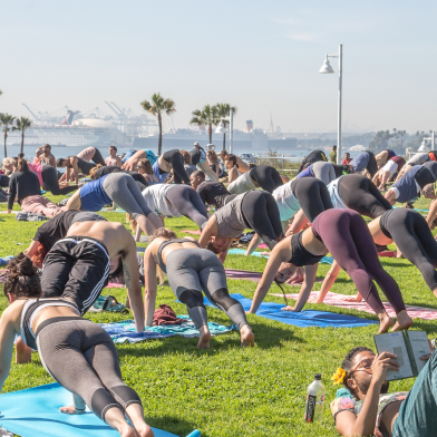 large-group-of-people-doing-yoga-at-the-park-and-o-2023-11-27-05-29-51-utc-1.jpg